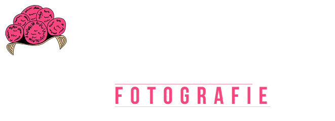 light logo